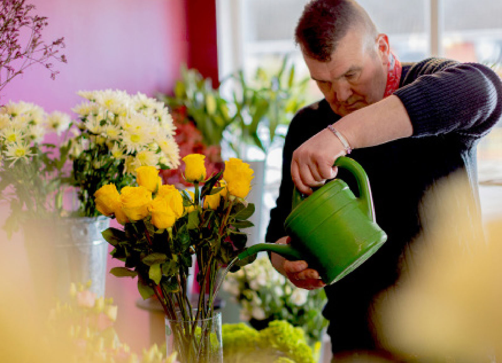 Úinéir gnóthais bhig - Flowers by Enda, Baile Coimín, i mbun uisce a chur i vása ina bhfuil rósanna buí
