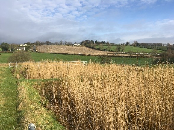 Wastewater treatment plant in Enfield